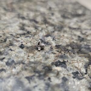 Pupil Hall Swerve Thredless Pin End - White gold